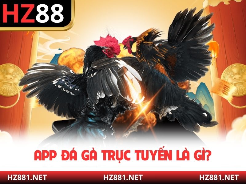 App đá gà trực tuyến là gì?