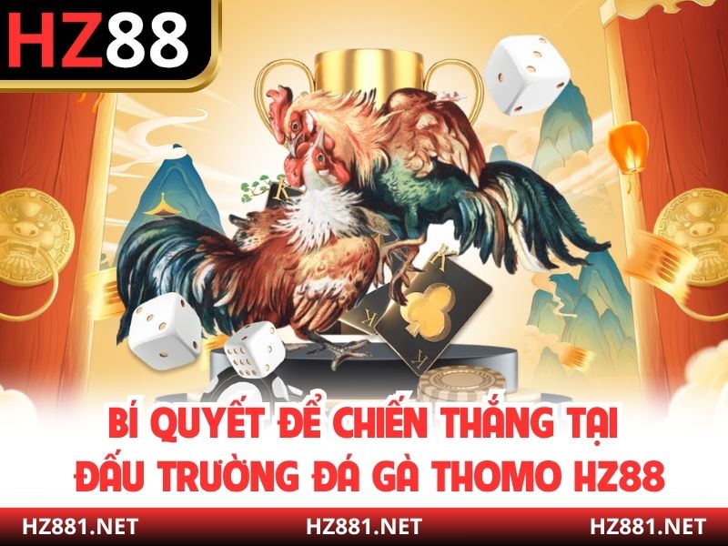 Bí quyết để chiến thắng tại đấu trường đá gà Thomo HZ88