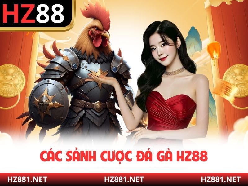 Các sảnh cược đá gà HZ88
