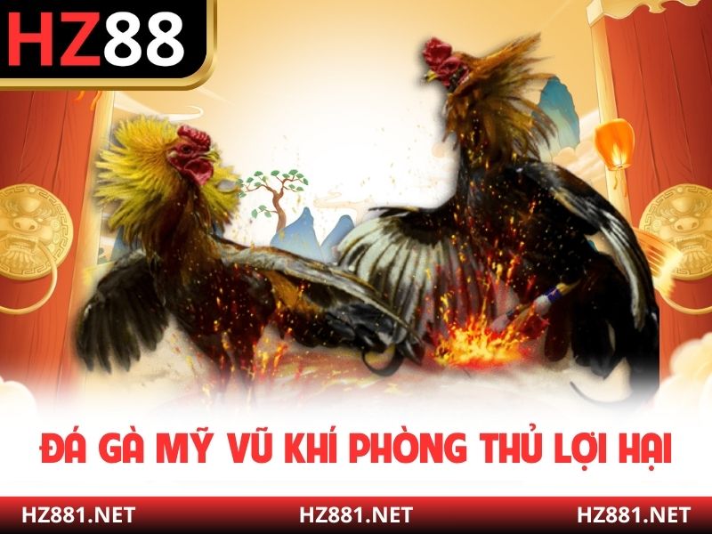 Đá gà Mỹ vũ khí phòng thủ lợi hại
