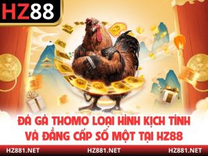 Đá Gà Thomo Loại Hình Kịch Tính Và Đẳng Cấp Số Một Tại HZ88
