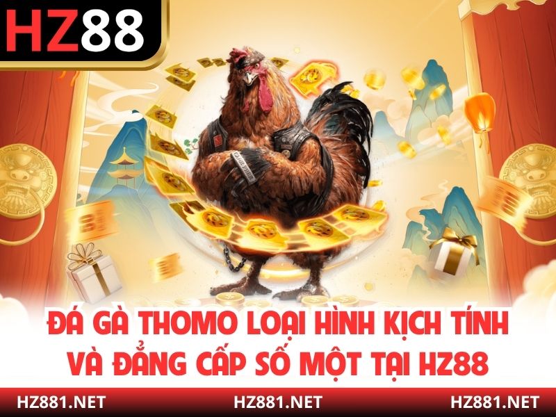 Đá Gà Thomo Loại Hình Kịch Tính Và Đẳng Cấp Số Một Tại HZ88