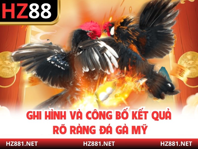 Ghi hình và công bố kết quả rõ ràng đá gà Mỹ