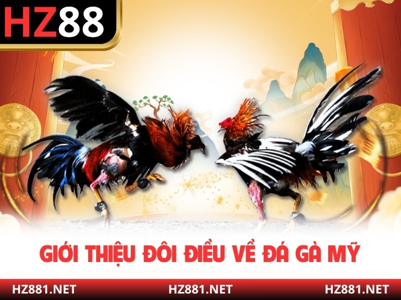 Giới thiệu đôi điều về đá gà Mỹ