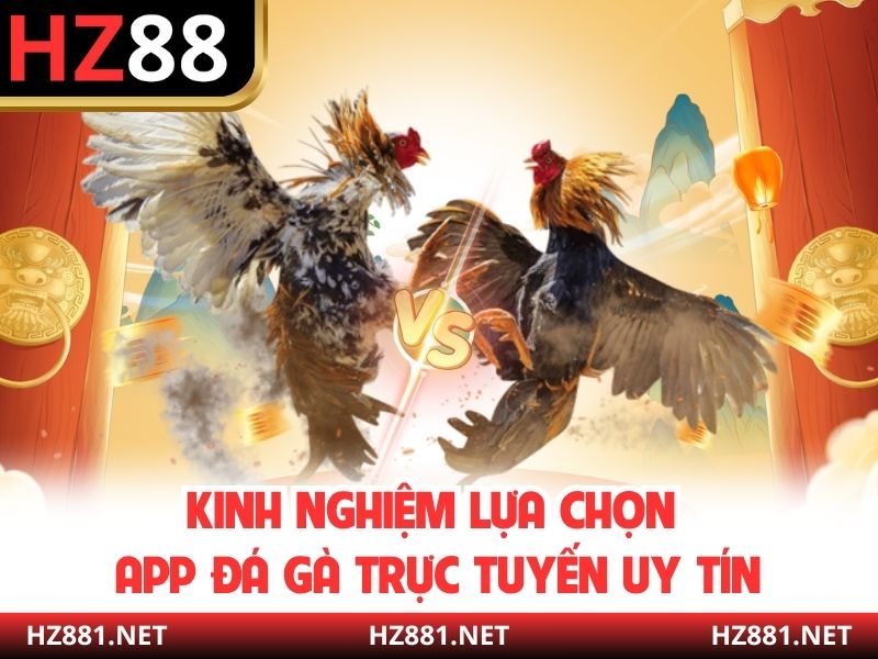 Kinh nghiệm lựa chọn app đá gà trực tuyến uy tín