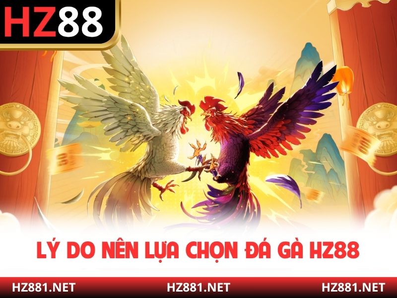 Lý do nên lựa chọn đá gà HZ88